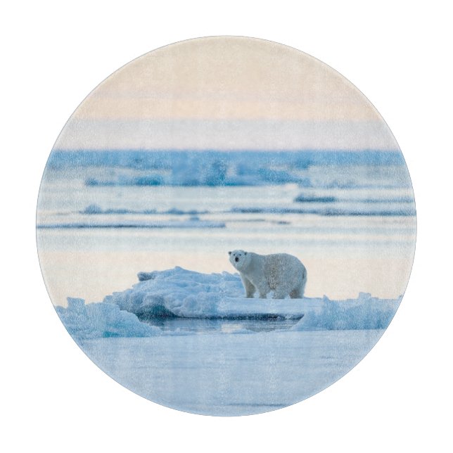 Ice & Snö | Polar Bear Iceberg Norge (Framsidan)