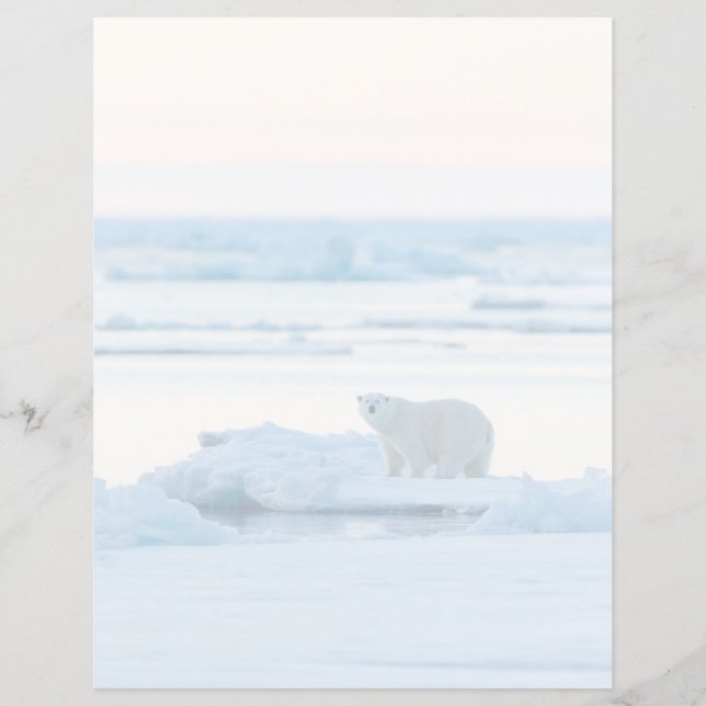 Ice & Snö | Polar Bear Iceberg Norge (Framsida)