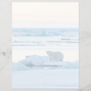 Ice & Snö Polar Bear Iceberg Norge