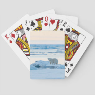 Ice & Snö Polar Bear Iceberg Norge Casinokort