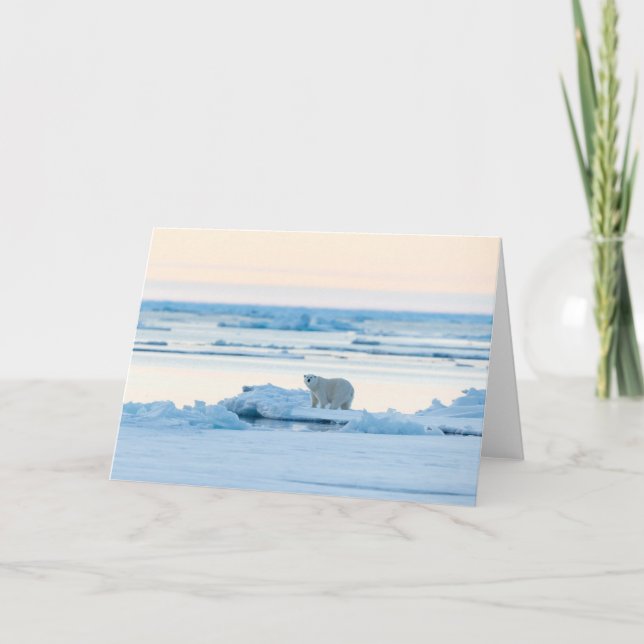 Ice & Snö | Polar Bear Iceberg Norge Kort (Framsida)