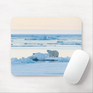 Ice & Snö Polar Bear Iceberg Norge Musmatta