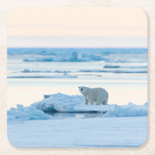 Ice & Snö Polar Bear Iceberg Norge Underlägg Papper Kvadrat