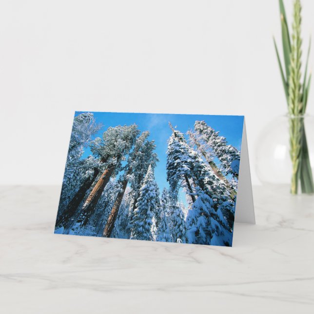 Ice & Snö | Sequoia National Park, Kalifornien Kort (Framsida)