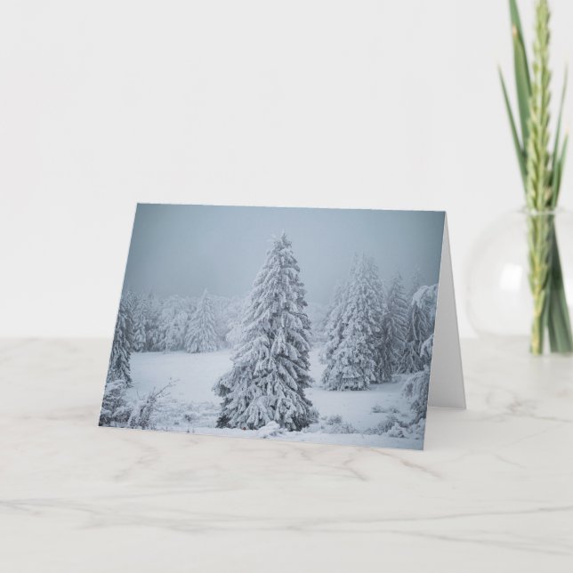 Ice & Snö | Skogsmark, schweiziska Alpernor Kort (Framsida)