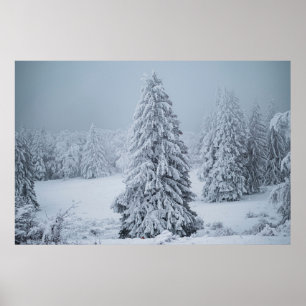 Ice & Snö Skogsmark, schweiziska Alpernor Poster