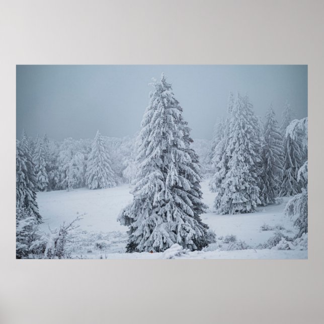 Ice & Snö | Skogsmark, schweiziska Alpernor Poster (Framsidan)