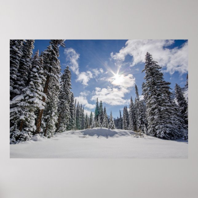 Ice & Snö | Sunrise Winter Snö Alberta, Kanada Poster (Framsidan)