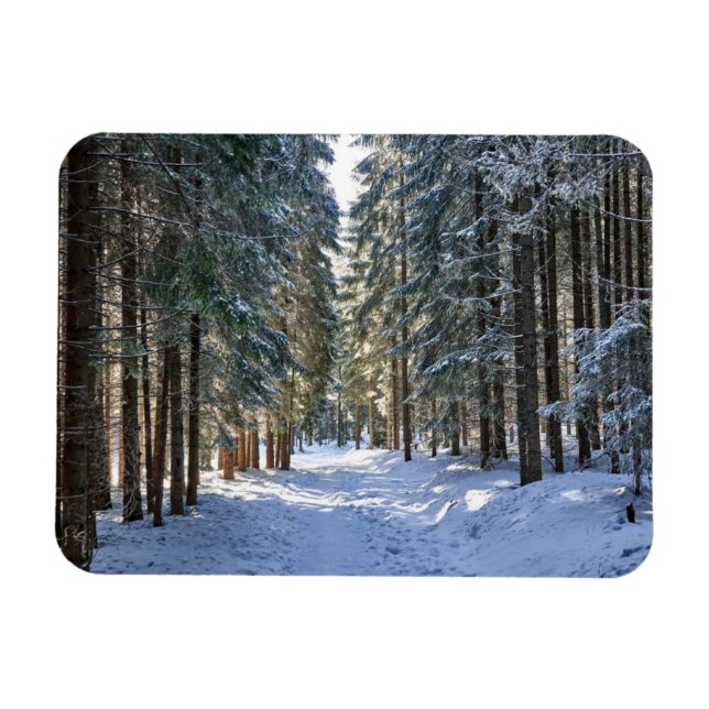 Ice & Snö | Tatra Mountain, Polen Magnet (Horisontell)