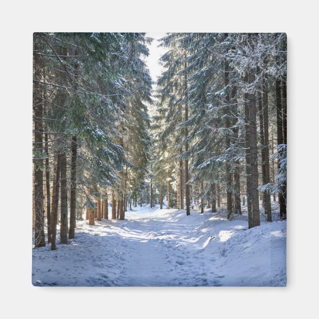Ice & Snö | Tatra Mountain, Polen Magnet (Framsidan)