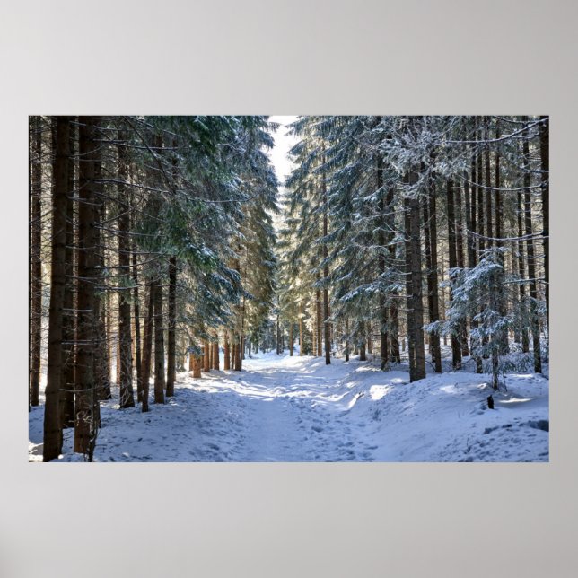 Ice & Snö | Tatra Mountain, Polen Poster (Framsidan)