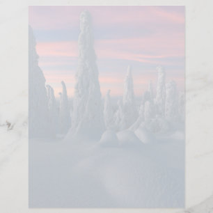 Ice & Snö   Träd, Lappland, Finland, täckt av Snö
