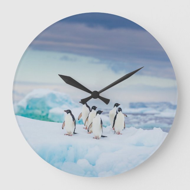 Ice & Snow | Adelie Penguins Antarctica Stor Klocka (Framsida)