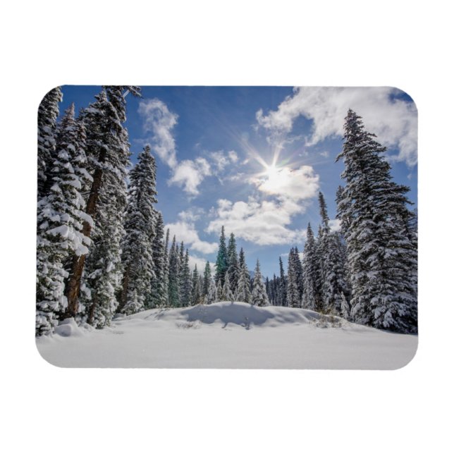 Ice & Snow | Sunrise Winter Snow Alberta, Canada Magnet (Horisontell)