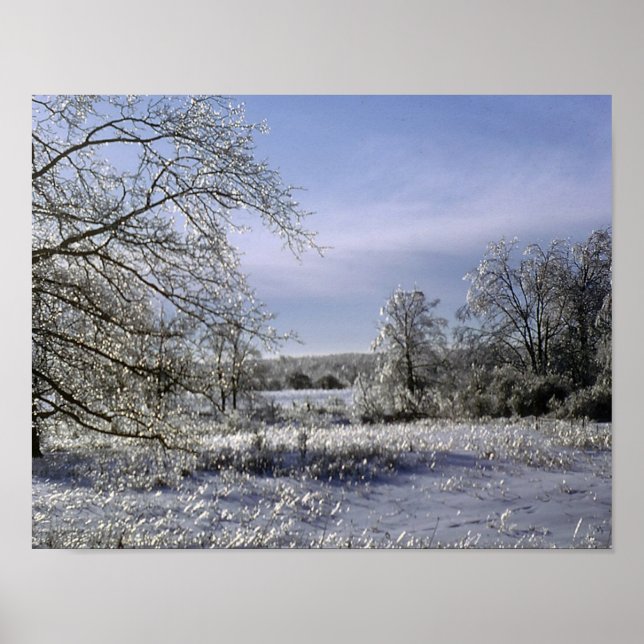 Ice Storm Glazes A Forest Poster (Framsidan)