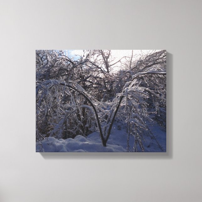 Ice Storm Photo Canvas Art Skriv ut Michigan (Framsida)