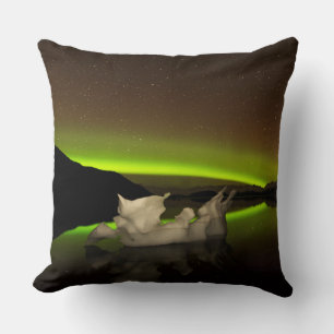 Iceberg Aurora Kudde