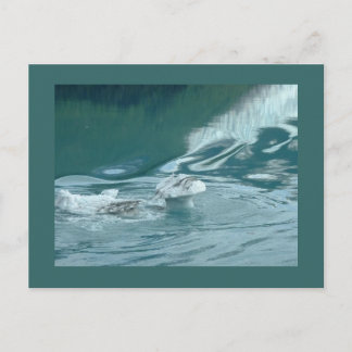 "Iceberg Mushroom Delight" Vykort