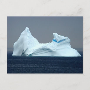 Icebergs i Newfoundland Vykort