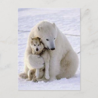 Icebjörn och Hund Vykort