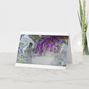 Iced Black Knight Butterfly Bush Kort