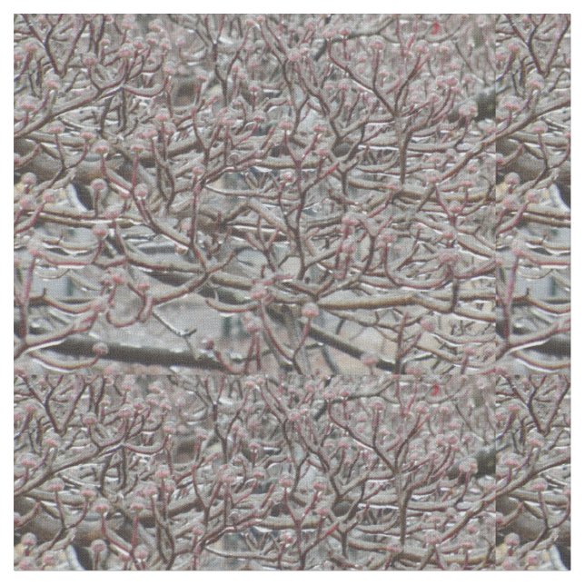 Iced Dogwood Träd Tyg (Närbild)