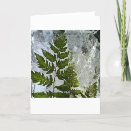 Iced Ferns Kort