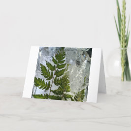 Iced Ferns Kort