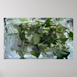 Iced Ivy Poster