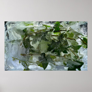 Iced Ivy Poster