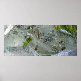 Iced Ivy Poster