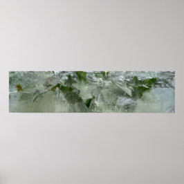 Iced Ivy Poster