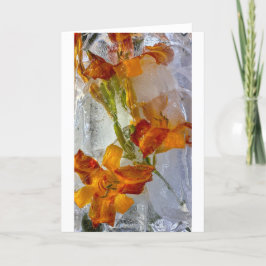 Iced Lilies Kort