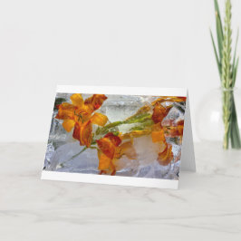 Iced Lilies Kort