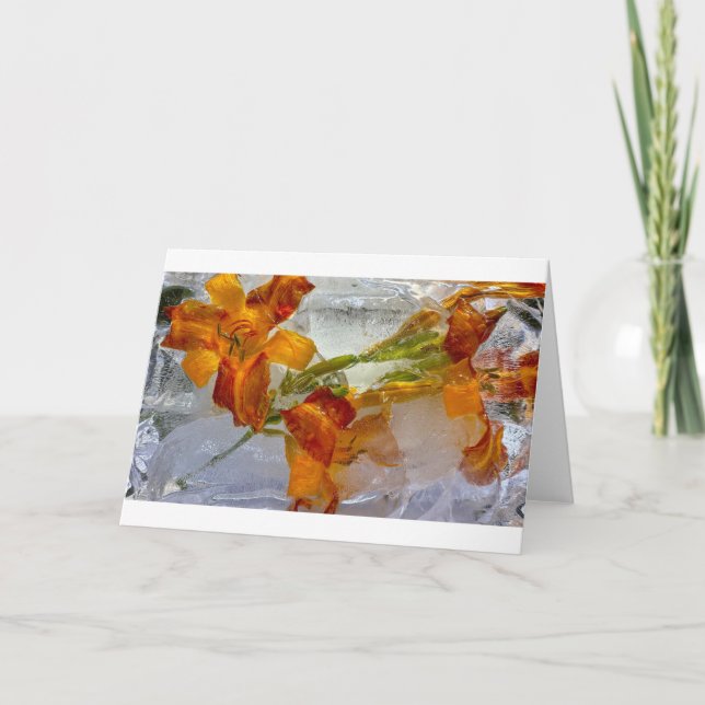 Iced Lilies Kort (Framsida)