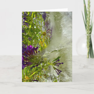 Iced Lilies Kort