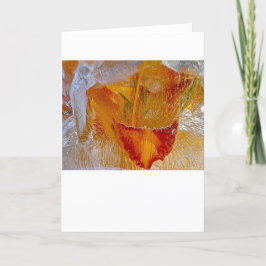 Iced Lilies Kort