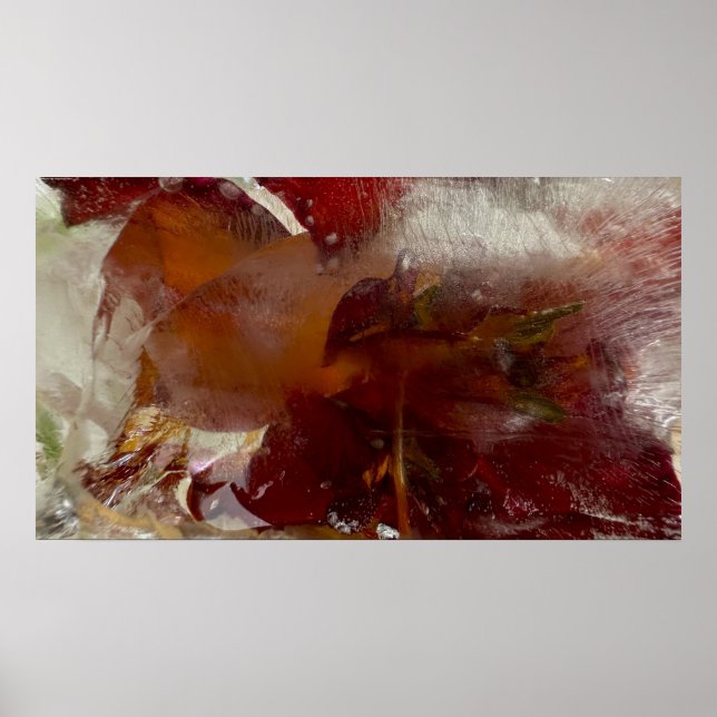 Iced Lilies Poster (Framsidan)