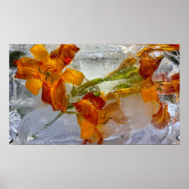 Iced Lilies Poster