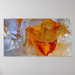 Iced Lilies Poster
