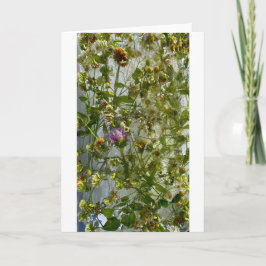 Iced Thistle & Klöver Kort