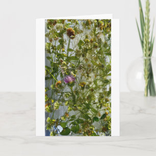 Iced Thistle & Klöver Kort