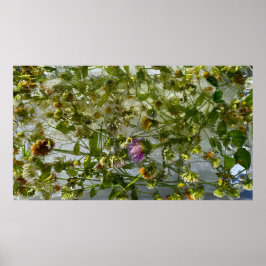 Iced Thistle & Klöver Poster