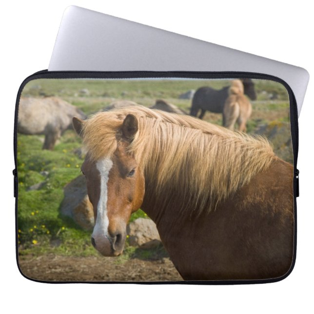 Icelandic Horses in Northeastern Iceland Laptop Fodral (Framsidan)