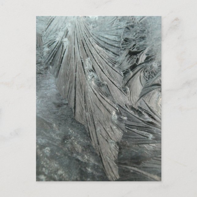 Ices Flower Lodrät DIY-vykort Vykort (Framsida)