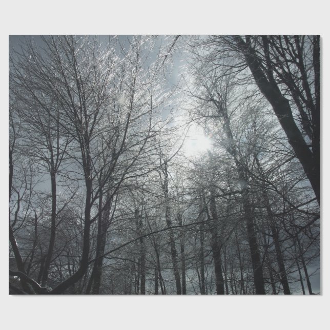 Ices täckte solnedgång i träd presentpapper (Platt)