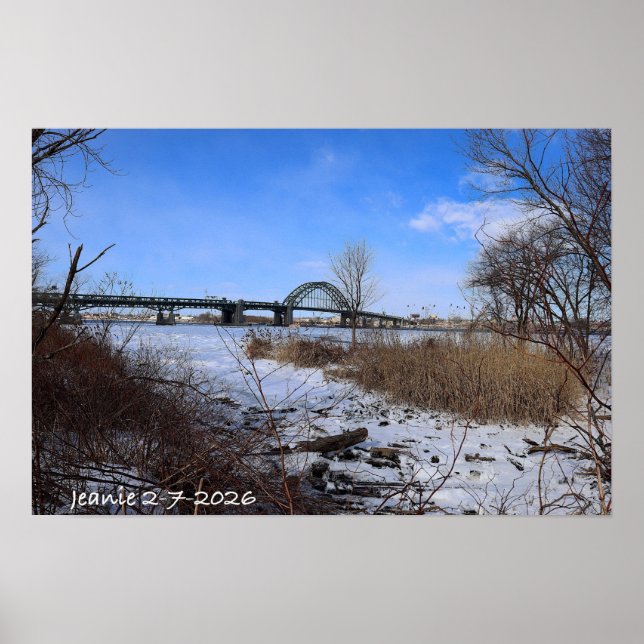 Icey Delaware Poster (Framsidan)