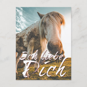 Ich liebe dich mit schauenden Pferd Helg Vykort