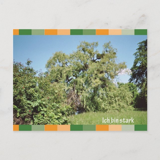 Ich tunna naken vykort (Framsida)