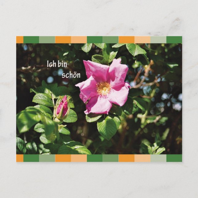 Ich tunna schoen vykort (Framsida)